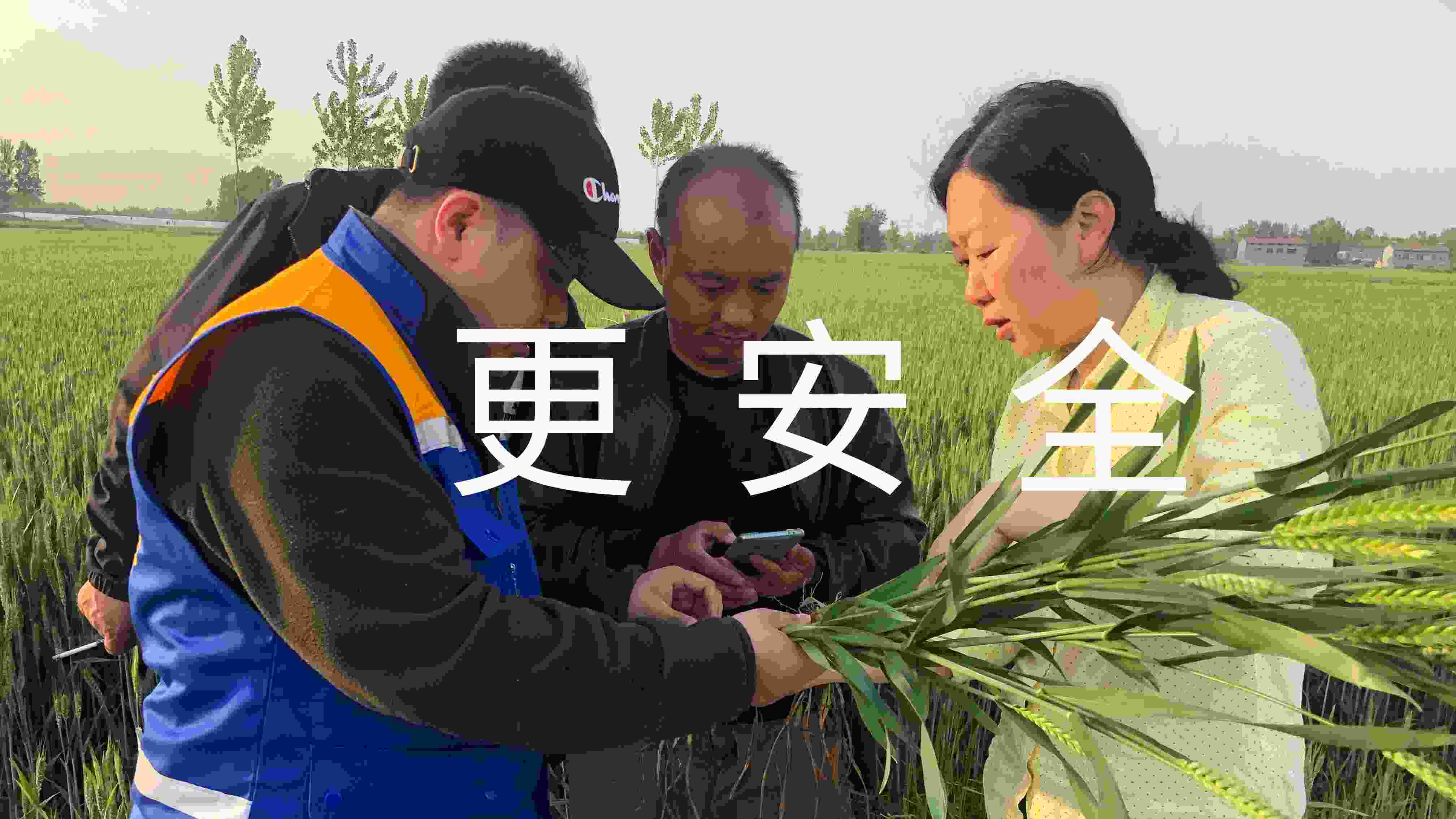 四大價值——更安全