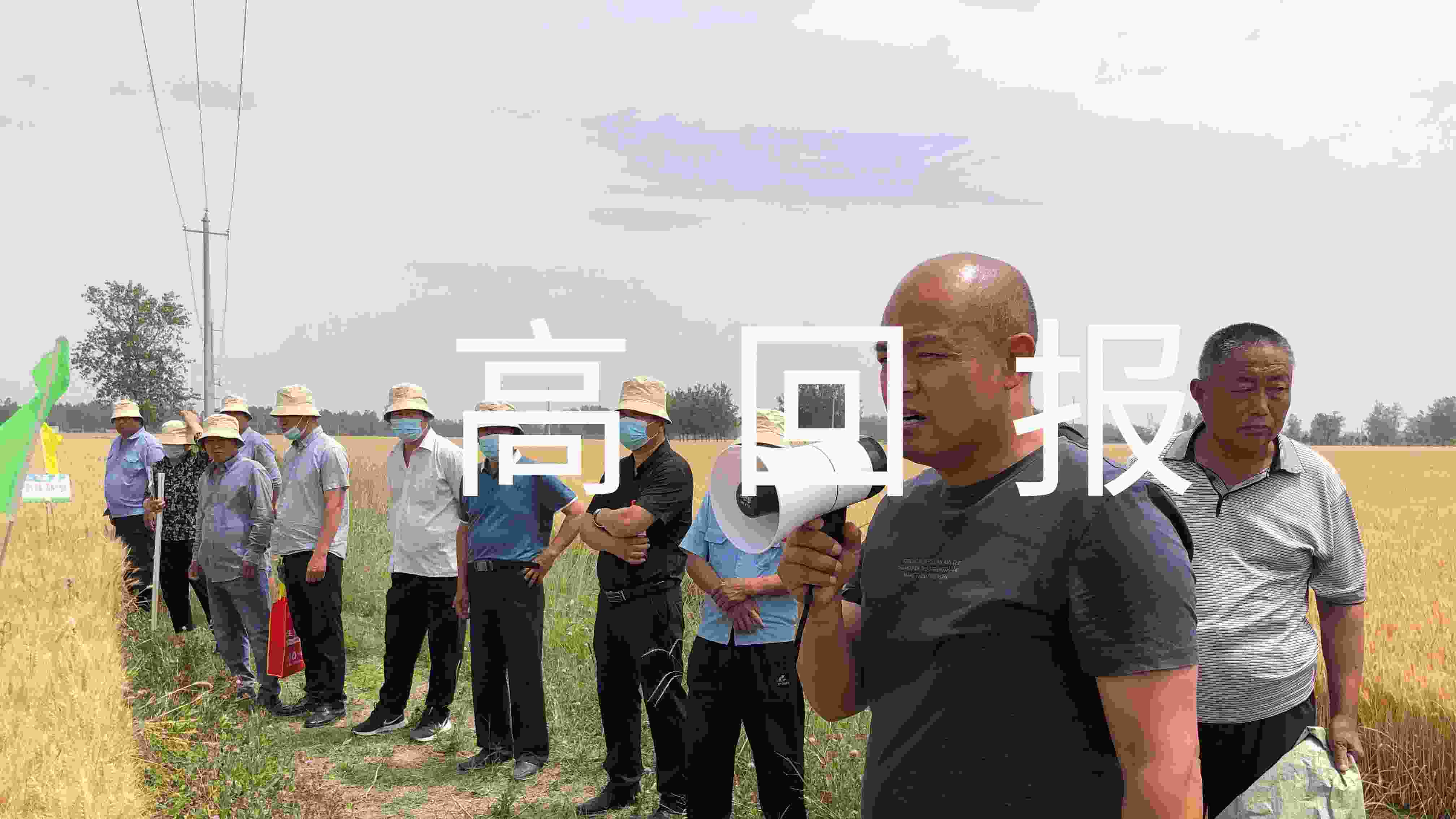四大價值——高回報