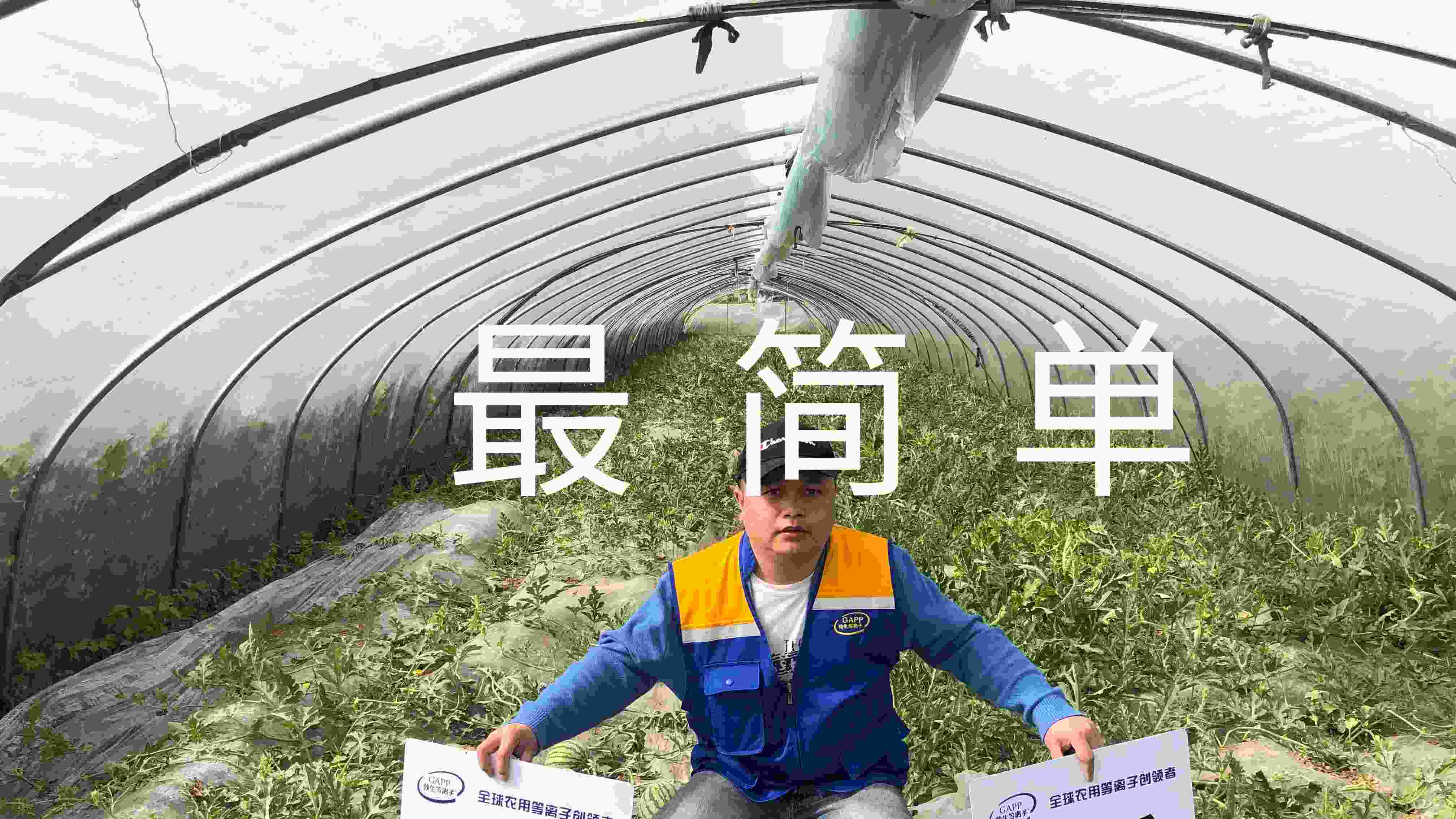 四大價值——超簡單