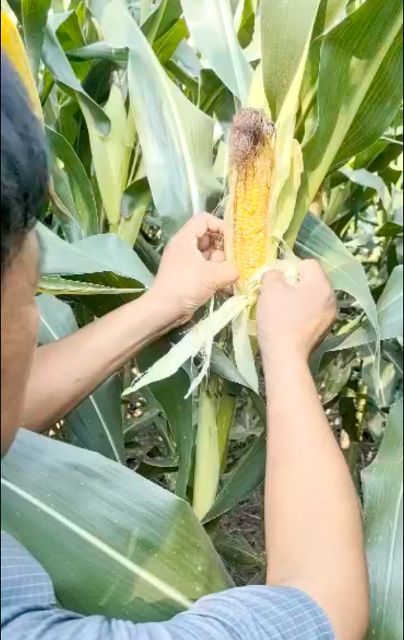 圖片1.png