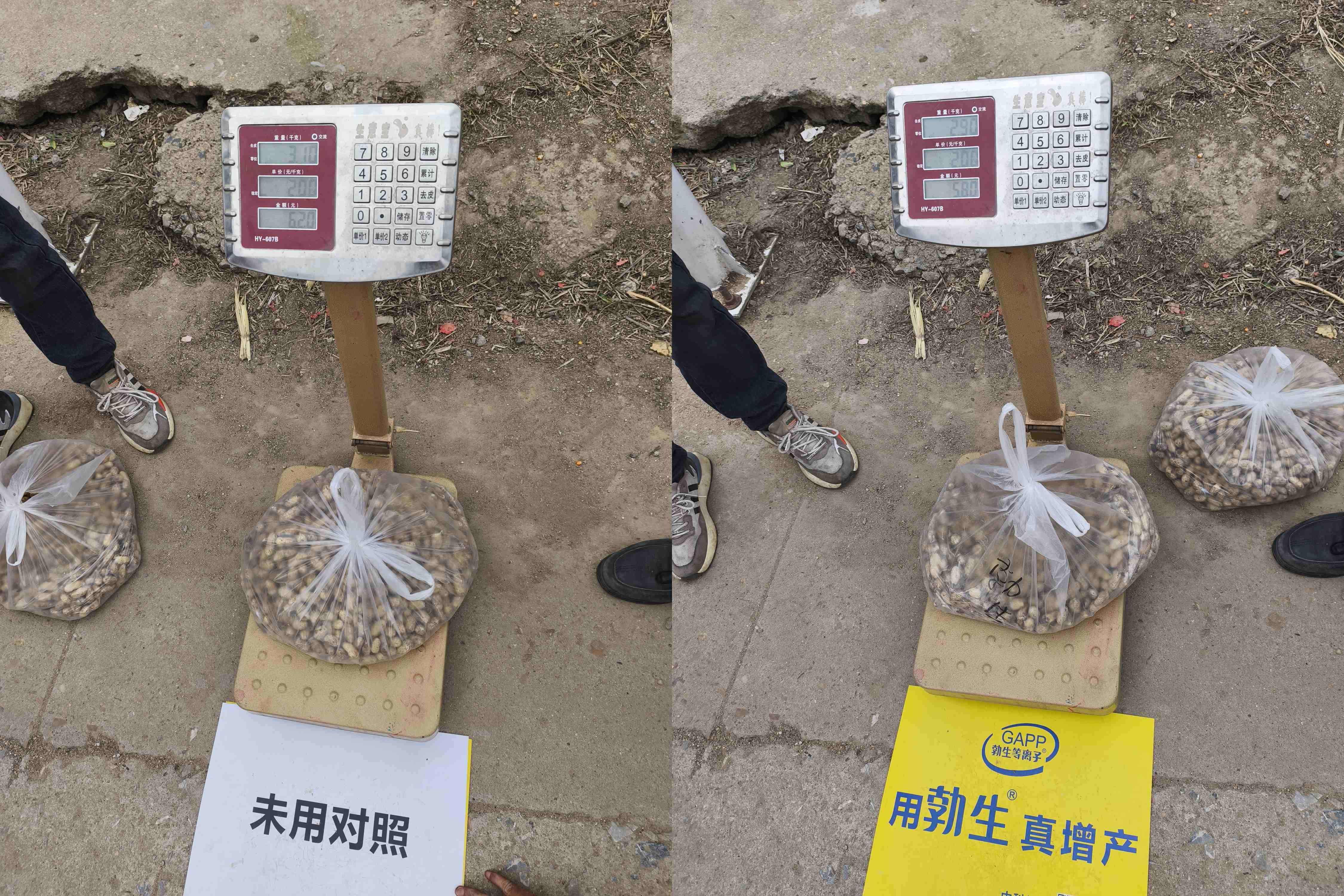 未命名_副本.jpg